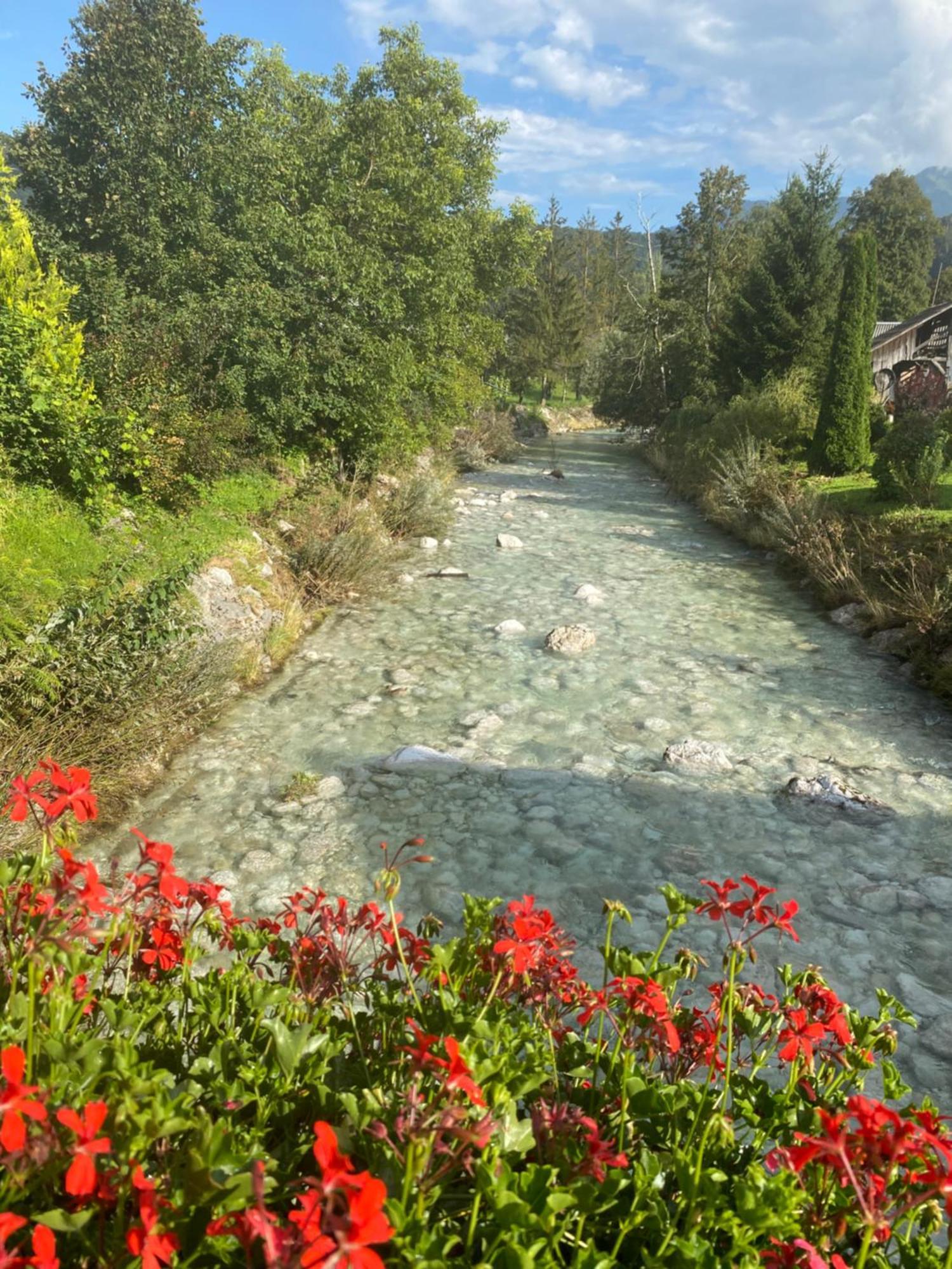 Mountain View In Triglav National Park Apartment Bohinj Luaran gambar