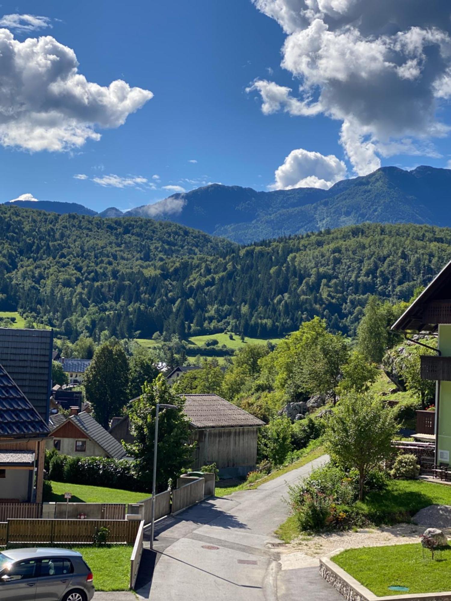 Mountain View In Triglav National Park Apartment Bohinj Luaran gambar