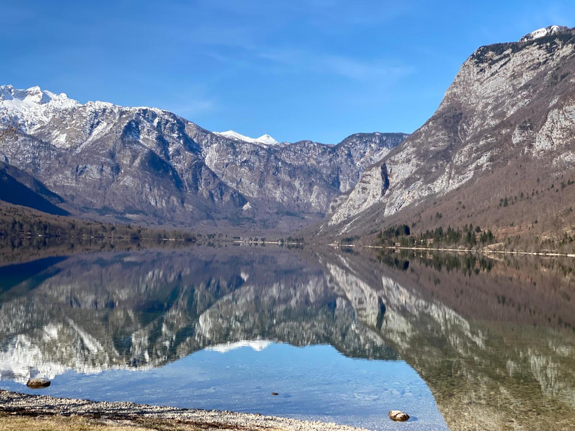 Mountain View In Triglav National Park Apartment Bohinj Luaran gambar